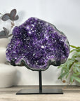 Large Natural Deep Purple Amethyst Specimen - MWS3238