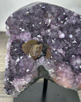 Unique Natural Amethyst Formation - MWS3375