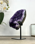 Amethyst Crystal Cluster with Deep Purple Druzy – Natural Mineral Display Piece - MWS2891