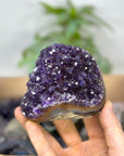Mineral Specimens Lot - MSLT0217
