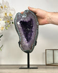 Uruguayan Amethyst Geode with Deep Purple Crystals and Green Jasper Shell - MWS2801
