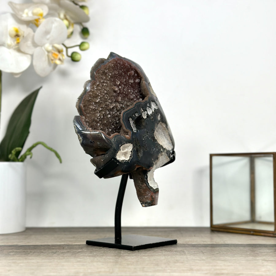 Agate Geode with Druzy Crystals and Deep Brown Hues Leaf Carving - MWS2809