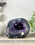 Huge Amethyst & Agate Geode with Handpolished Shell - STGE0083