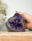 Amethyst Geode with Polished Edge for Home Decor Display - CBP1147