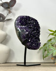 A Grade Natural Uruguayan Amethyst Geode - MWS3185