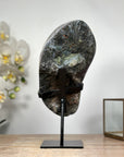Natural Uruguayan Amethyst Geode, Metallic Stand included - MWS1839