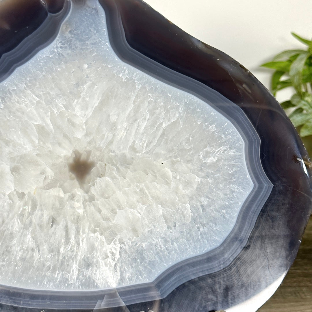 Large Natural Blue Banded Agate Slice - SLC0022