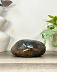 Uruguayan Amethyst Geode with Polished Agate Shell - STGE0118