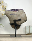 Large Natural Amethyst Stone Crystal Specimen for Home Decor - MWS2830