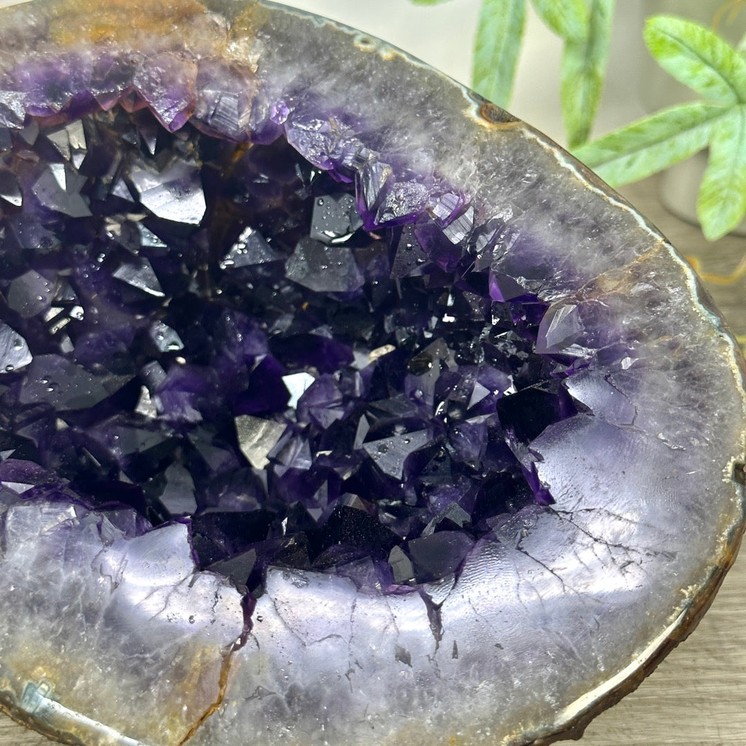 Large Natural Uruguayan Amethyst Geode with Large Crystals - STGE0042