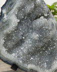 Natural Green Tone Quartz Geode with Stalactite Formations - MWS3362