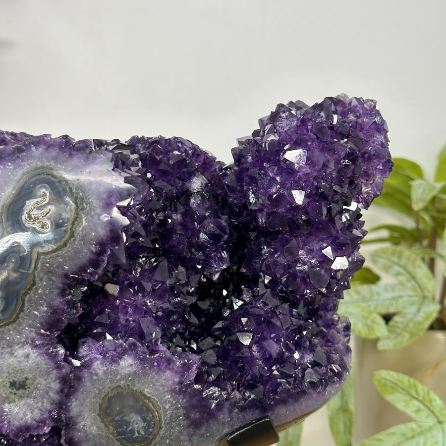 Unique Natural Amethyst Specimen with A+ Grade Crystals &amp; Stalactite Formations - MWS3103