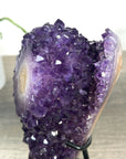 Natural Uruguayan Amethyst Crystal Formation with Stand - MWS2251