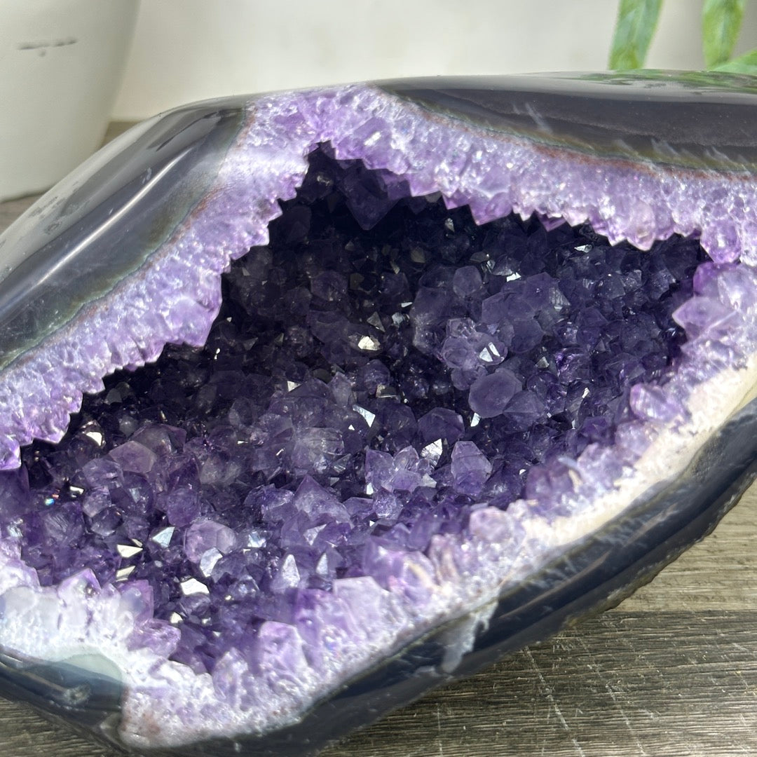 Uruguayan Amethyst geode with agate Shell - STGE0044
