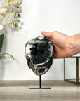 Black Quartz Druzy Geode on Metal Stand - MWS2725