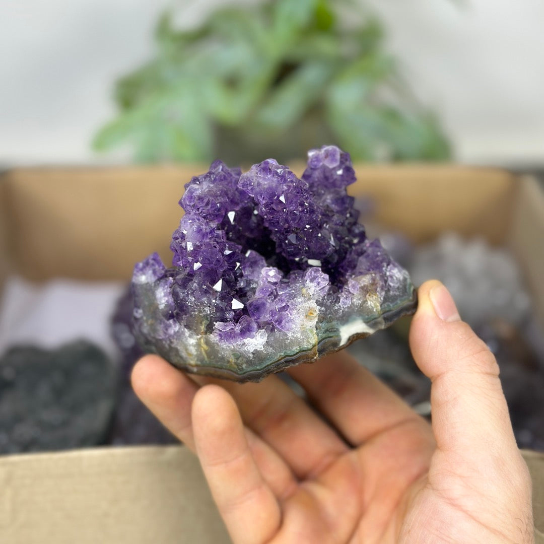 Mineral Specimens Lot - MSLT0219
