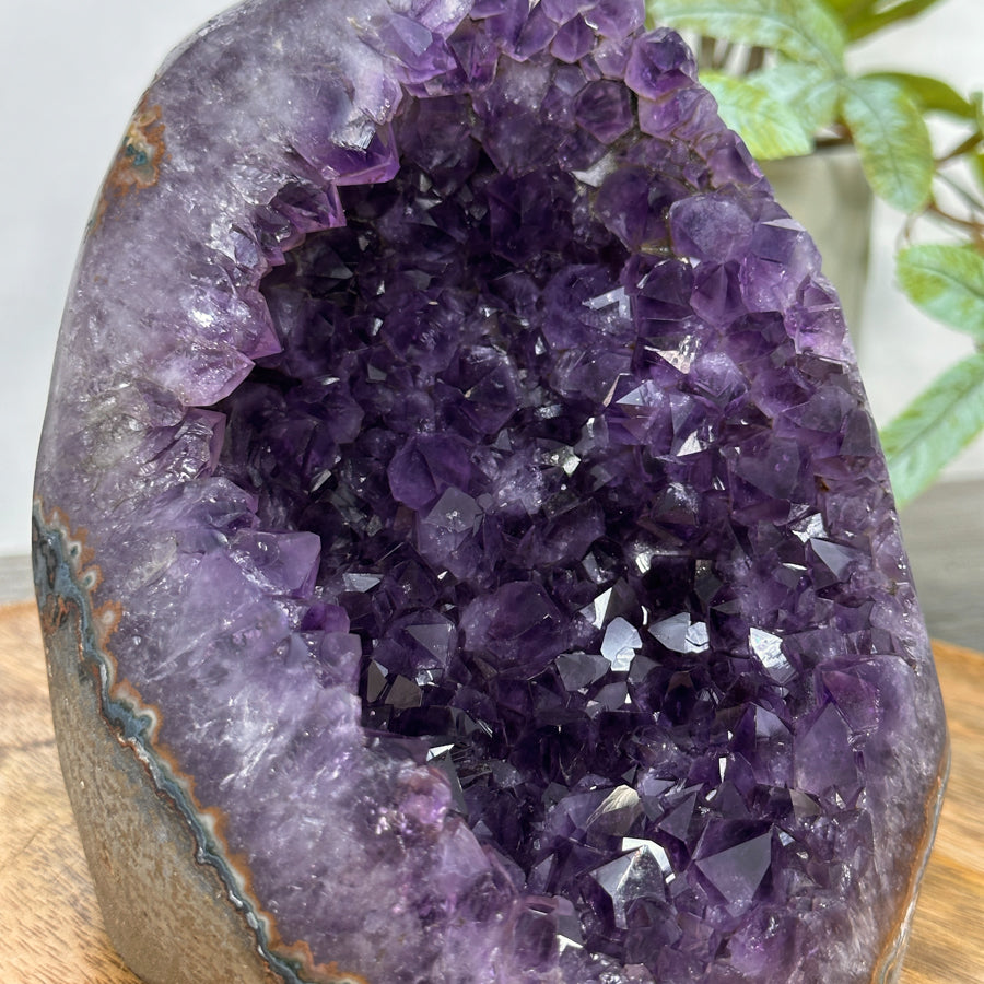 Large Natural Amethyst Cathedral Geode - CBP1297