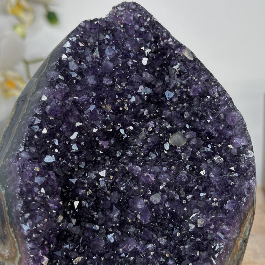 Amethyst Geode with Deep Purple Crystals - CBP1161