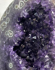 Huge Natural Top Grade Amethyst Specimen - MWS3405
