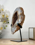 Natural Yellow Quartz Geode Specimen - MWS1979