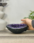 Natural Deep Purple Uruguayan Amethyst Geode - STGE0056