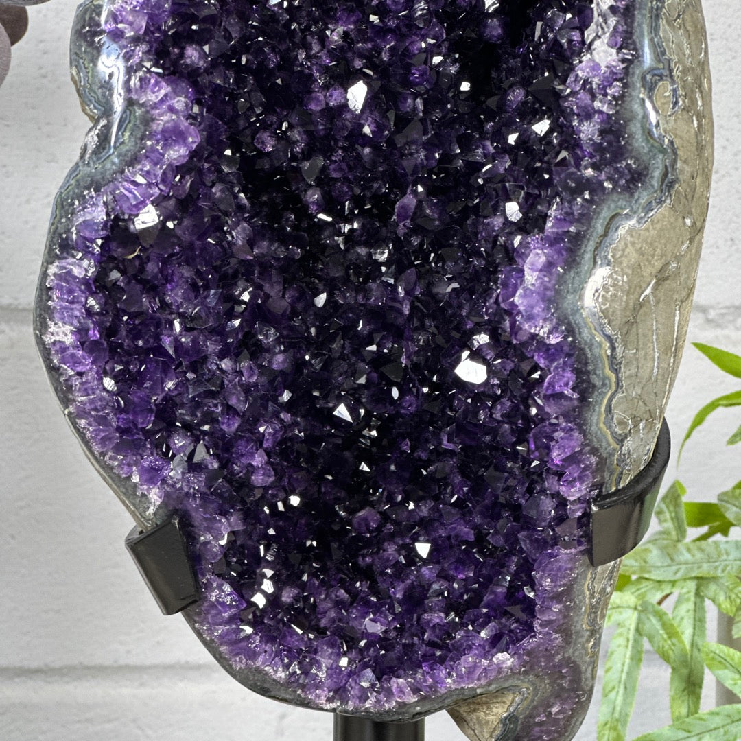 XXL Unique Natural Top Quality Amethyst Geode Statement Piece - MWS3282