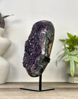 Uruguayan Amethyst Crystal statement piece with Green Jasper Shell - MWS3357