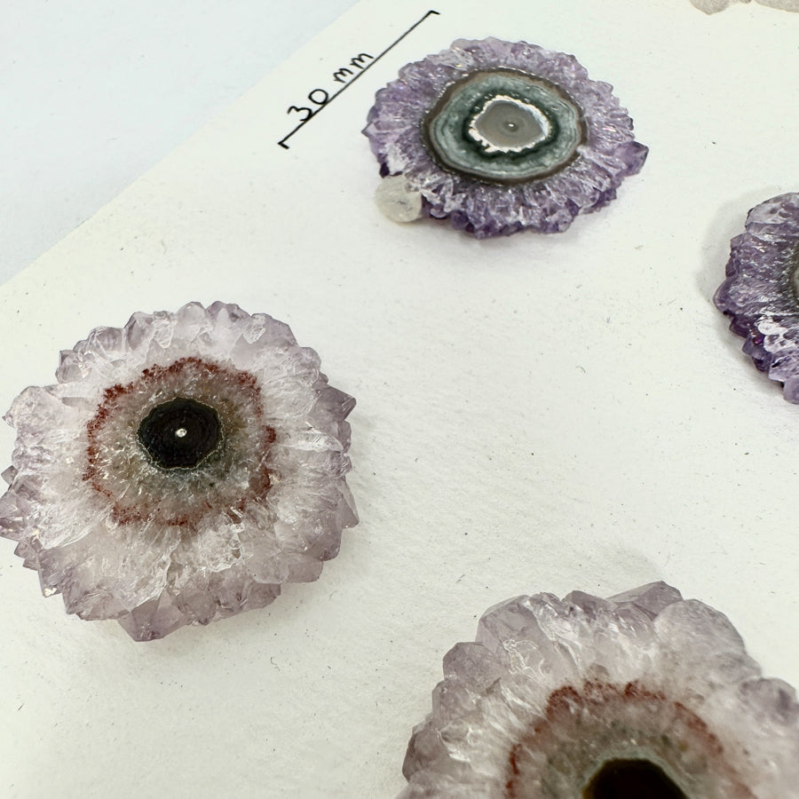 Natural Amethyst &amp; Quartz Stalactite Slices Wholesale Flat - Ideal for Pendants - STS0043
