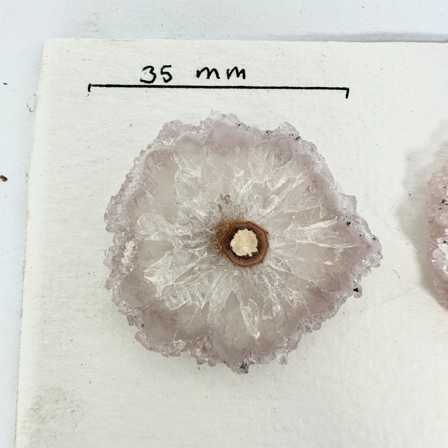 High-Quality Amethyst Stalactite Slices for Jewelers - Wholesale Bulk Pack - STS0029