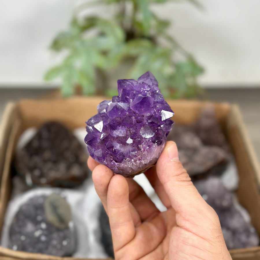 Mineral Specimens Lot - MSLT0209