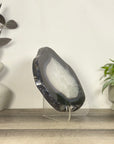 Large Natural Blue Banded Agate Slice - SLC0022