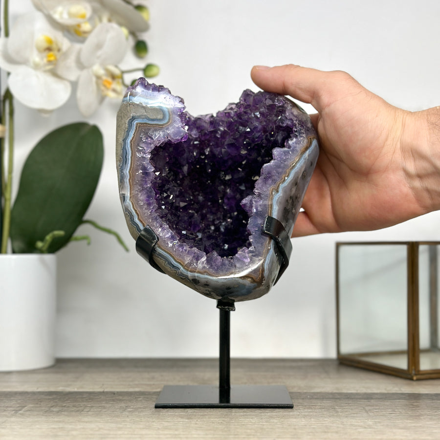 Uruguayan Amethyst Geode with Deep Purple Crystals &amp; Agate Shell - MWS2893