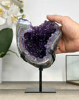 Uruguayan Amethyst Geode with Deep Purple Crystals & Agate Shell - MWS2893