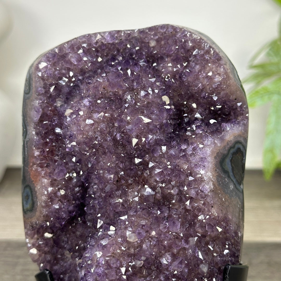 Uruguayan amethyst Geode with Quartz Shell on Stand - MWS3306