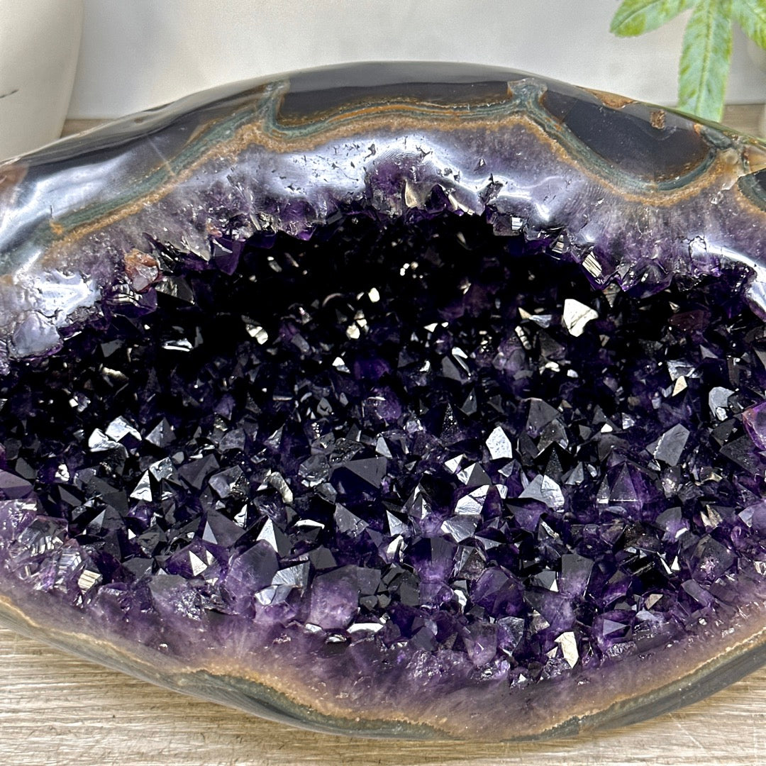 Natural Deep Purple Amethyst Geode with Agate Shell - STGE0102