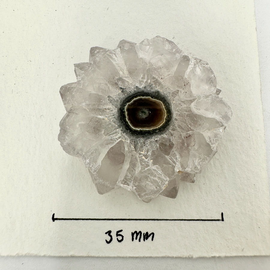 Genuine Amethyst &amp; Quartz Stalactite Slices Flat - Perfect for Crafting Unique Jewelry - STS0040