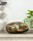 Uruguayan Amethyst Geode with Polished Shell - STGE0120