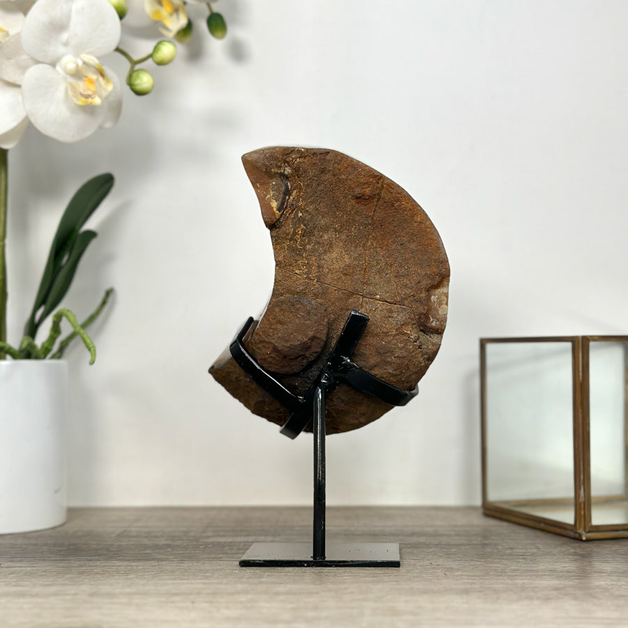 Amethyst Moon Shape Crystal Cluster on Stand - MWS2580