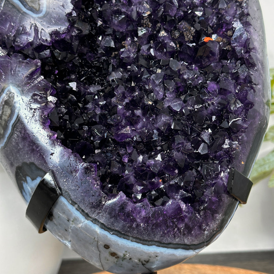 Natural Top Quality Amethyst Geode with Blue Abate Shell - MWS3073