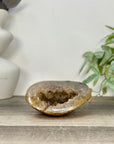 Yellow Sugar Druzy Quartz Geode - STGE0060