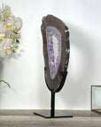 Natural Amethyst Geode Slice with Amethyst Crystal Center for Home Decor - MWS2671