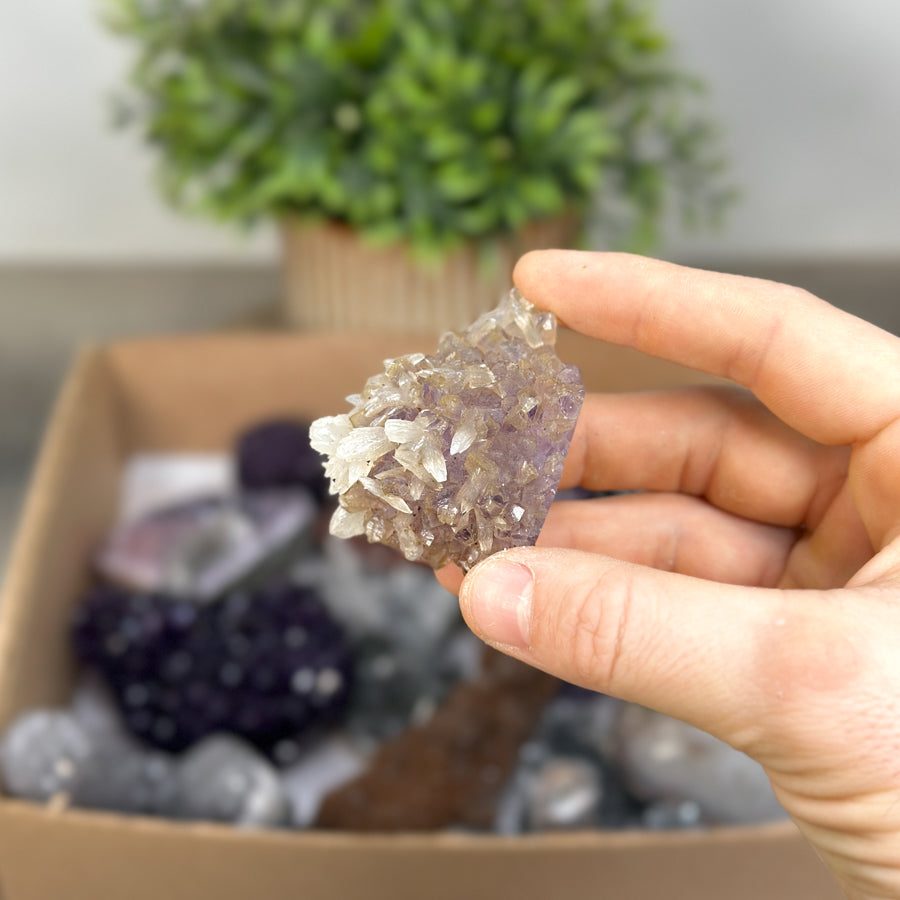 Mineral Specimens Lot - MSLT0186