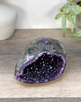 Uruguayan Amethyst Geode with Polished Shell - STGE0090