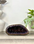 Uruguayan Amethyst Geode with Polished Agate Shell - STGE0118