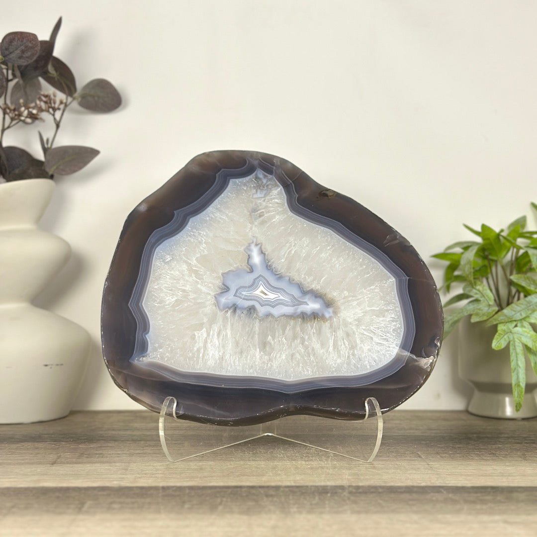 Uruguayan Blue Banded Agate Slice - SLC0023