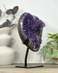 Uruguayan Amethyst Crystal Statement Piece for Home Decor - MWS3220