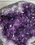 XXL Natural Uruguayan Amethyst Geode - CBP1252