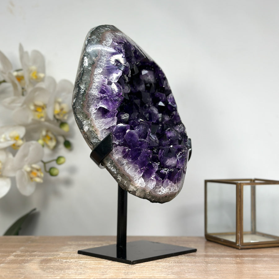 Natural Large Amethyst Geode with Large &amp; Shinny Crystals - MWS1842