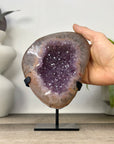 Uruguayan Amethyst Geode with Stunning Quartz Shell - MWS3340