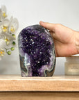Uruguayan Amethyst Geode Crystal Cathedral - CBP1136